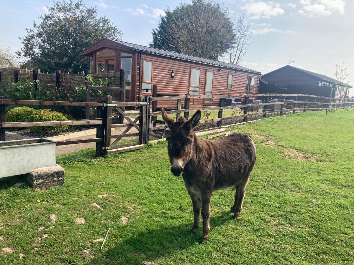 Rew Farm Country And Equestrian Accommodation - Sunset Lodge Melksham Exteriér fotografie